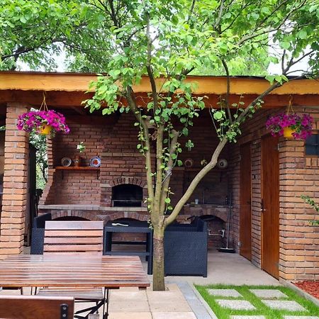 Cozy House With Nice Garden In Heart Of City Center Villa Клуж-Напока Екстериор снимка